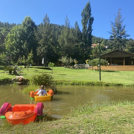 Quinta Da Vinha Do Souto Villa Arouca Eksteriør billede