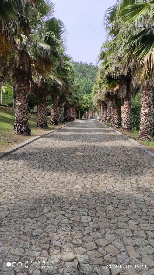 Quinta Da Vinha Do Souto Villa Arouca Eksteriør billede
