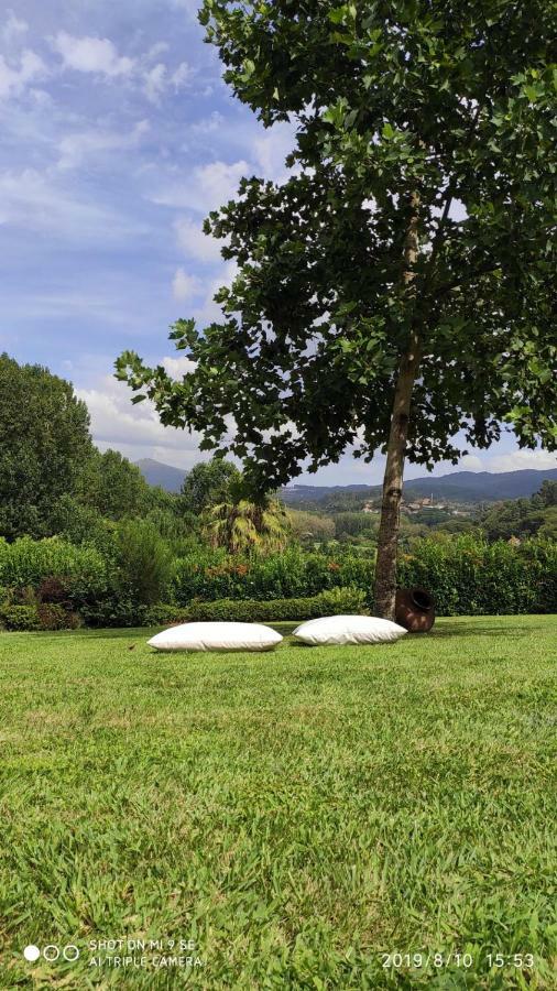 Quinta Da Vinha Do Souto Villa Arouca Eksteriør billede